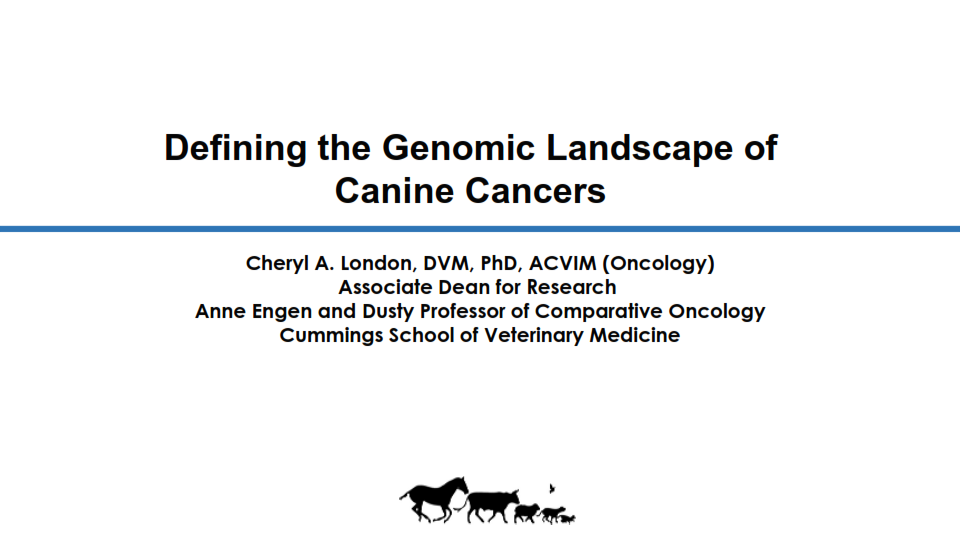 Read more about the article Defining the Denomic Landscape of Canine Cancers